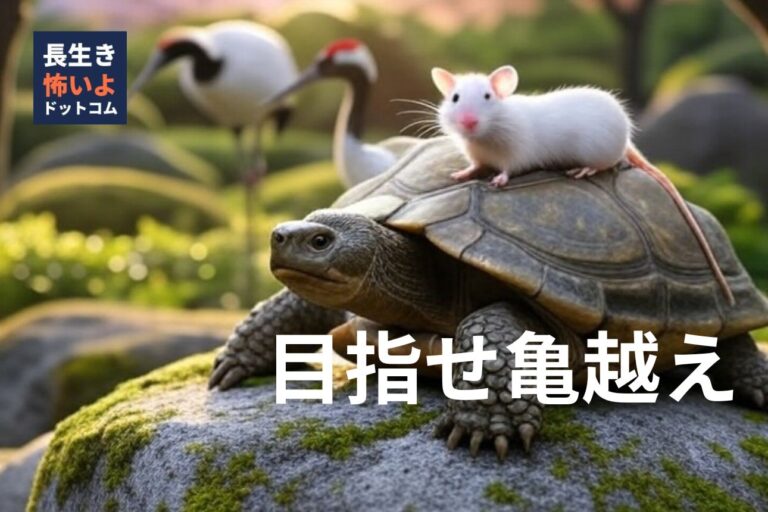 大きな亀の甲羅に白いネズミが乗り、背景に二羽の鶴が立つ自然の中で前方を見つめている様子