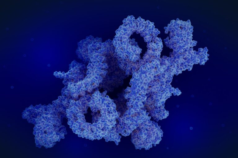 タンパク質の3D分子モデル。細胞機能や老化研究に関連する立体構造を可視化