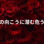 赤い薔薇の背景に警句メッセージを重ねたデザイン