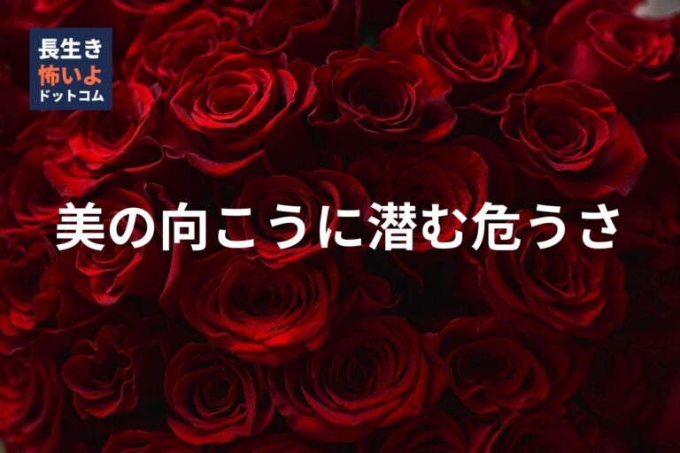 赤い薔薇の背景に警句メッセージを重ねたデザイン