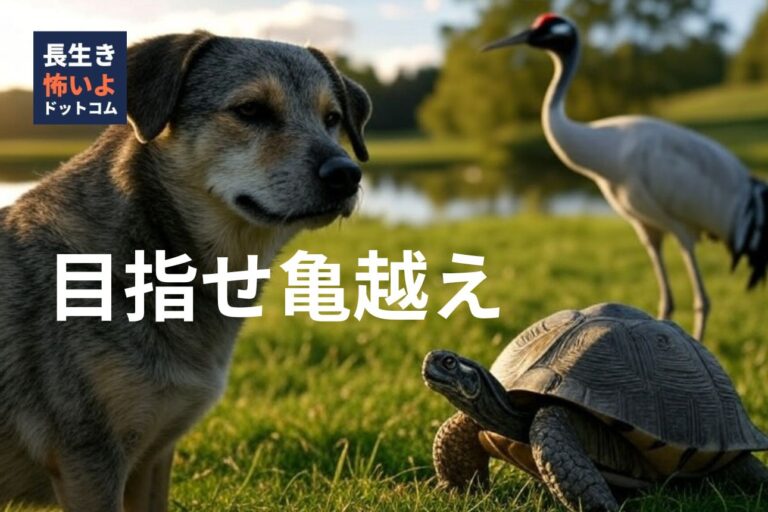 老犬と亀、鶴が草原で並ぶ